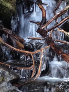 Icicles dripping from a waterfall-glazed branch.